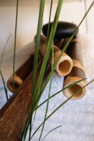 Photo Of Bamboo